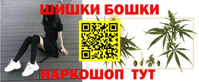 СК Будённовск