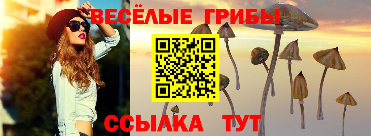 Псилоцибиновые грибы GOLDEN TEACHER Узловая