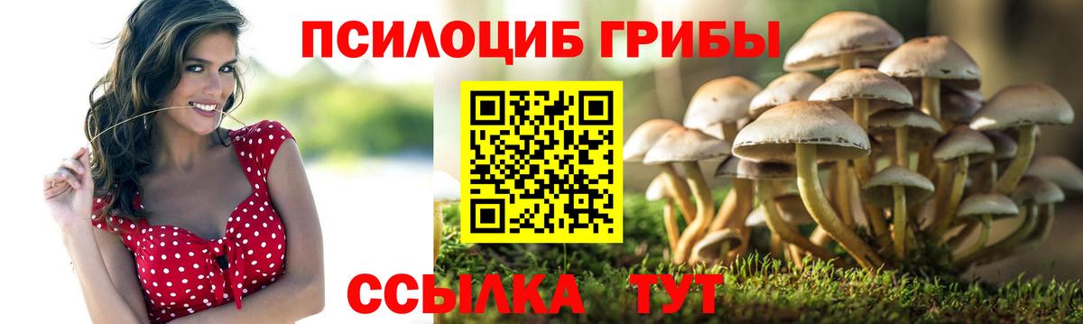 закладки  Галлюциногенные грибы Psilocybine cubensis  Вход с VPN  Узловая 