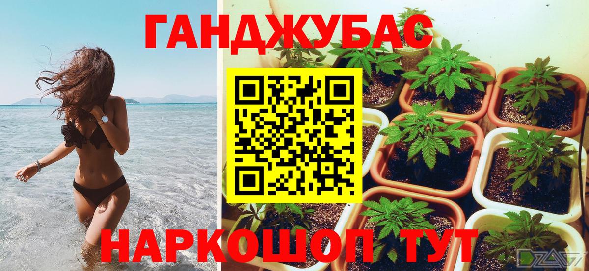 МАРИХУАНА сатива Узловая